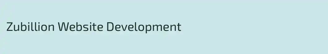 Zubillion Website Development